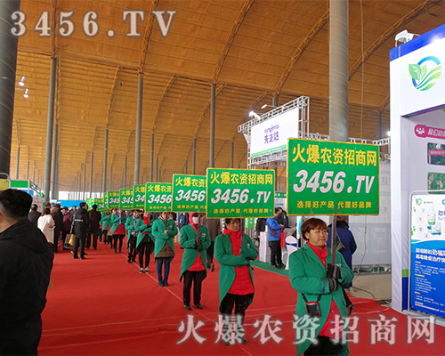 2019ӱֲ(hu)r(nng)Y̾W(wng)(qing)(sh)