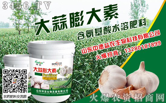 2019年大蒜什么時候種植好 播種時間 全國大蒜種植時間表 2019年大蒜什么時候種植好 播種時間 全國大蒜種植時間表