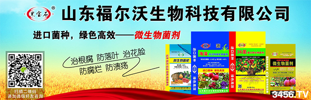 yֲMA̙Cϲɽ|ٶm(x)sr(nng)YW(wng)