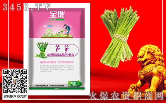 2020年種植蘆筍有前景嗎??jī)r(jià)格多少錢一斤?種植效益如何? 2020年種植蘆筍有前景嗎??jī)r(jià)格多少錢一斤?種植效益如何?