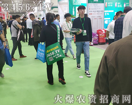 2019ֲr(nng)YW(wng)Gɫh(hun)܅չ̚gӭ