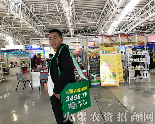 ־P(yng)(zhn)r(nng)YW(wng)(zhn)2019ֲ(hu)