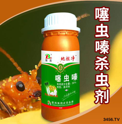 2019r(nng)ˎI(y)10Ʒаҕr(nng)ˎxã