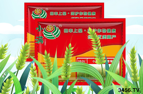 ol(f)СlPǰl(f)ǧf(wn)Ҫ裡