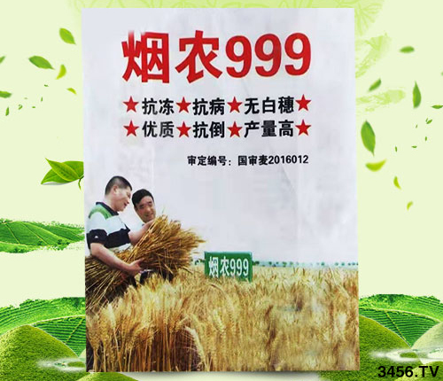 С?zhn)ôr(sh)򶬹ࣿ횜(zhn)_Дԓ಻к󻼣