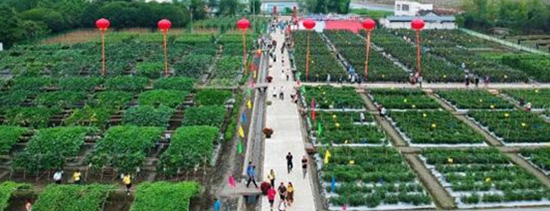 2020r(nng)Y[(hu)ճek^ļȫ憢(dng)