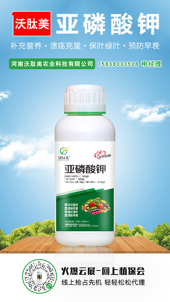 2020-5-16本周磷銨價格行情周報 2020-5-16本周磷銨價格行情周報