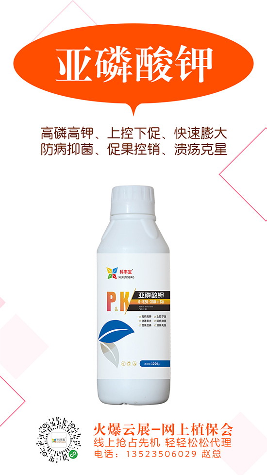 2020-5-21硫酸鉀主流出廠報(bào)價(jià)一覽 2020-5-21硫酸鉀主流出廠報(bào)價(jià)一覽