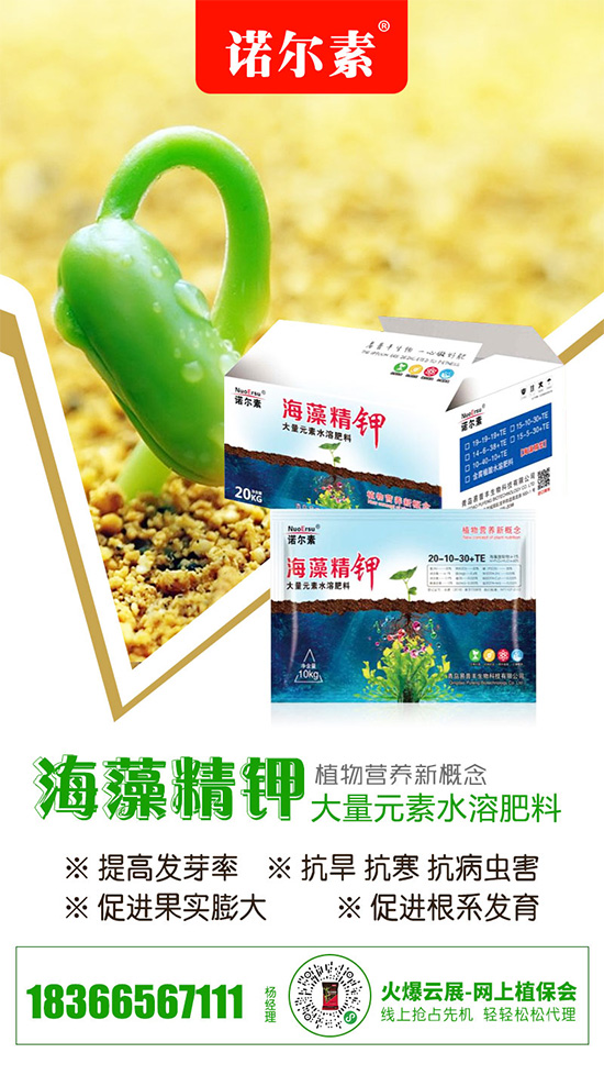 Ȼ⛶ڃ(ni)rƽ(wn)2020-5-22Ȼ⛃r