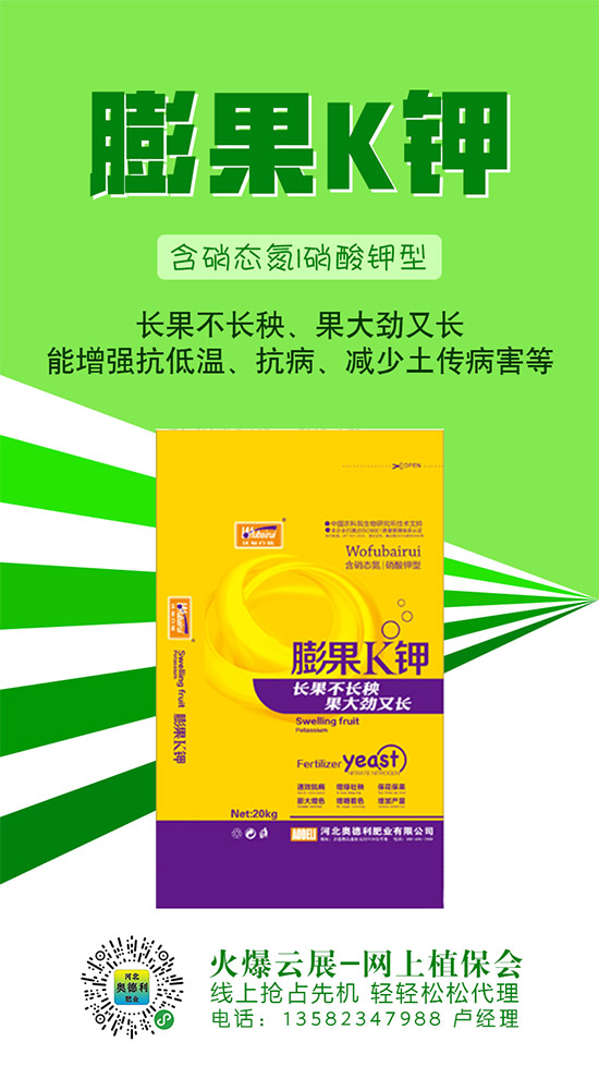 ⛃r2020-5-27Ј߄