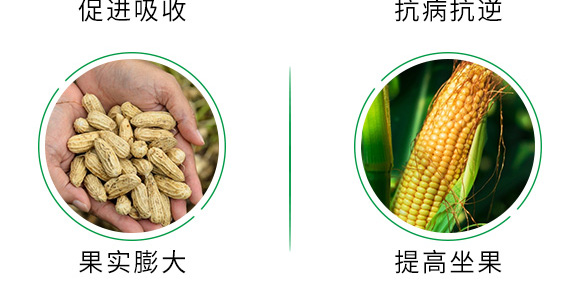 500g有機(jī)緩釋氮肥-瑞倍達(dá) 500g有機(jī)緩釋氮肥-瑞倍達(dá)