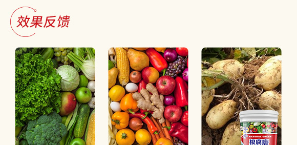 根腐康-五道豐 根腐康-五道豐