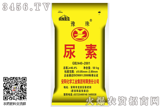 ^؃rô2020-6-29؃rr