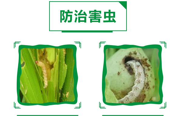 12%׾SxҸ-ȭ-嫪{r(nng)I(y)