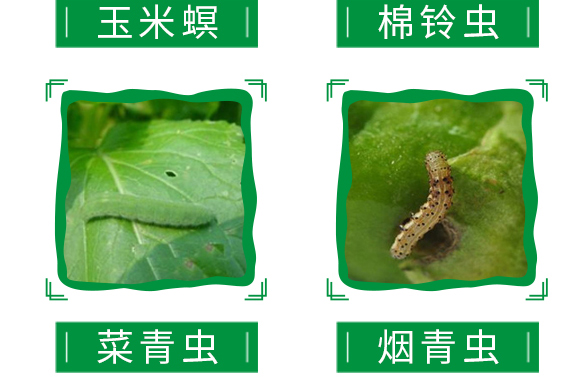 12%׾SxҸ-ȭ-嫪{r(nng)I(y)