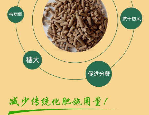 肉骨蛋白營養(yǎng)液-牛大粒-瑞奧森 肉骨蛋白營養(yǎng)液-牛大粒-瑞奧森