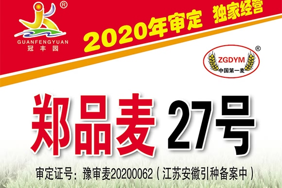 鄭品麥27號(hào)-小麥種子-邦邦種業(yè) 鄭品麥27號(hào)-小麥種子-邦邦種業(yè)