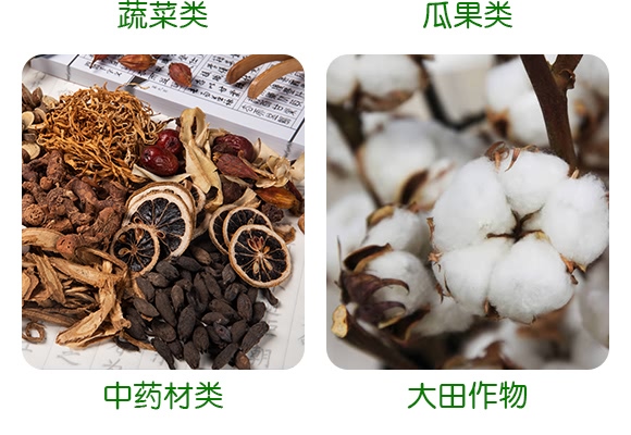 甲維·茚蟲(chóng)威+虱螨脲-恩農(nóng)帝武-萊恩恩農(nóng) 甲維·茚蟲(chóng)威+虱螨脲-恩農(nóng)帝武-萊恩恩農(nóng)