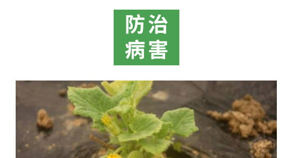 萬稼能13元素(瓶裝)-乾農(nóng) 萬稼能13元素(瓶裝)-乾農(nóng)