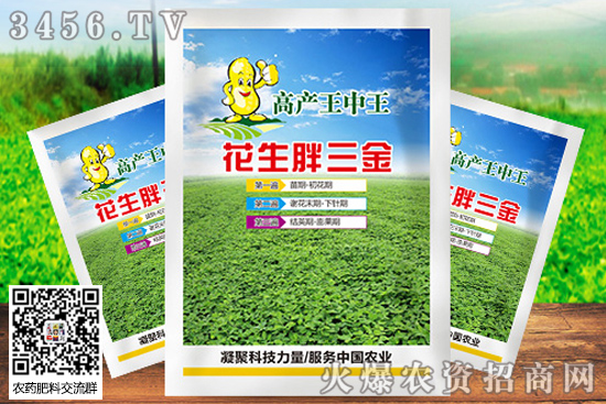 ˎʲôrcһˎgLrg