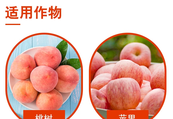 10%烯啶蟲胺水劑-趕虱貓-諾爾生物 10%烯啶蟲胺水劑-趕虱貓-諾爾生物