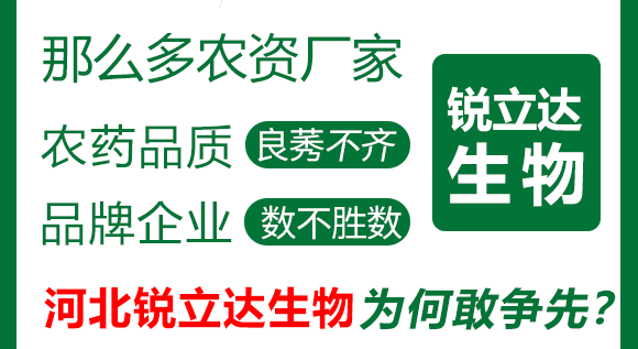 娌沖寳閿愮珛杈劇敓鐗╃鎶鏈夐檺鍏徃4_03.png 娌沖寳閿愮珛杈劇敓鐗╃鎶鏈夐檺鍏徃4_03.png