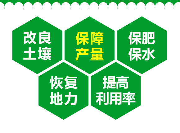 生物有機(jī)肥-果蔬8+2-先豐達(dá) 生物有機(jī)肥-果蔬8+2-先豐達(dá)