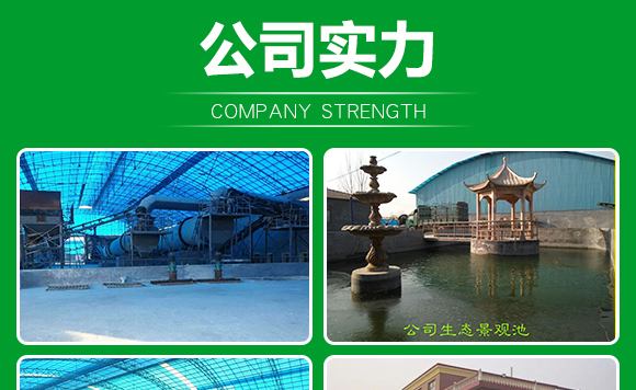 生物有機(jī)肥-果蔬8+2-先豐達(dá) 生物有機(jī)肥-果蔬8+2-先豐達(dá)