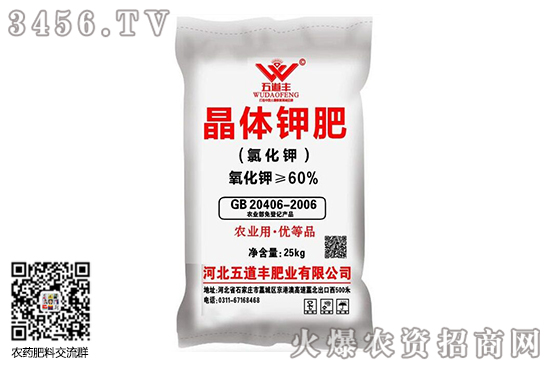 ⛷o׃2020-8-10⛷ʃr(ji)(bo)r(ji)һ[