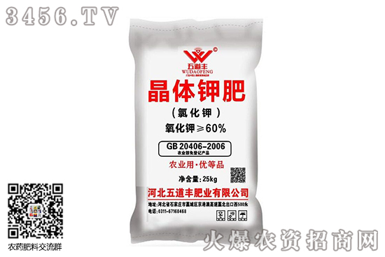 ⛷Ј(wn)2020-9-8⛷ʃr߄