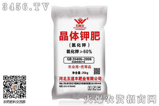 ⛷ô2020-9-9⛷ʃrr