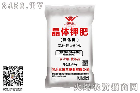 ⛷ʃr(wn)2020-9-21⛷ʃrr