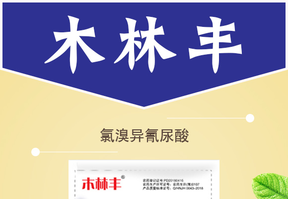 姘捍寮傛鞍灝塊吀錛?0g錛?鏈ㄦ灄涓?鍙屽槈鐢熺墿2_01.jpg 姘捍寮傛鞍灝塊吀錛?0g錛?鏈ㄦ灄涓?鍙屽槈鐢熺墿2_01.jpg