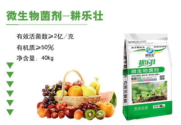 寰敓鐗╄弻鍓?鑰曚箰澹?鑰曡樹(shù)箰_03.jpg 寰敓鐗╄弻鍓?鑰曚箰澹?鑰曡樹(shù)箰_03.jpg