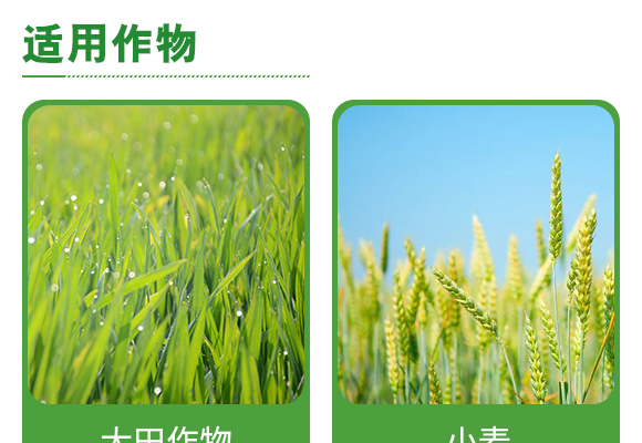 寰敓鐗╄弻鍓?鑰曚箰澹?鑰曡樹(shù)箰_05.jpg 寰敓鐗╄弻鍓?鑰曚箰澹?鑰曡樹(shù)箰_05.jpg