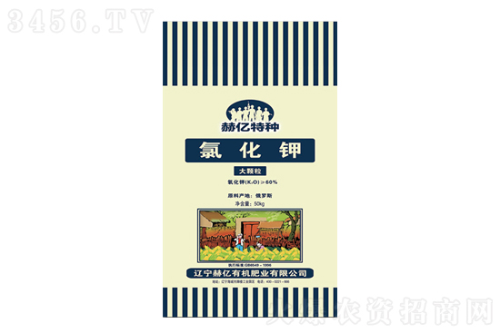 ⛷Сq2021-3-13ĩ⛷ʃr(ji)(bo)r(ji)