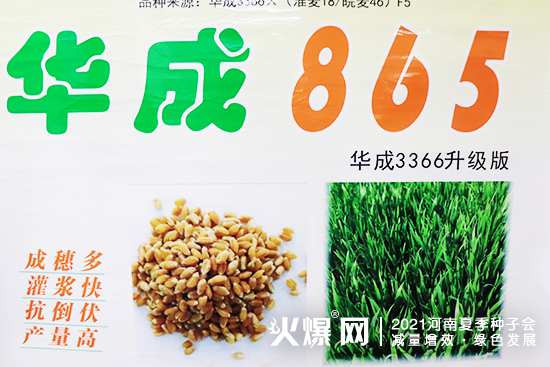 ۽չЈ2021ļNӕAڴWR