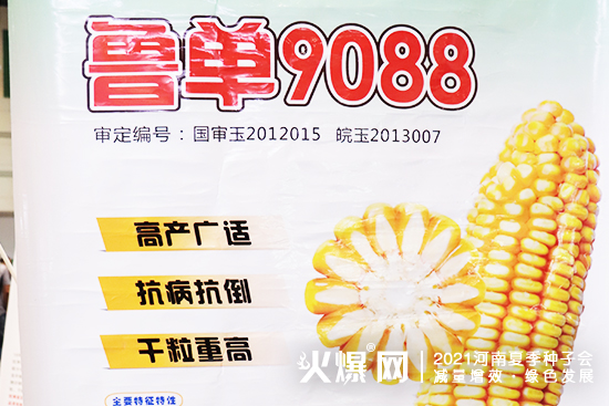 ۽չЈ2021ļNӕAڴWR