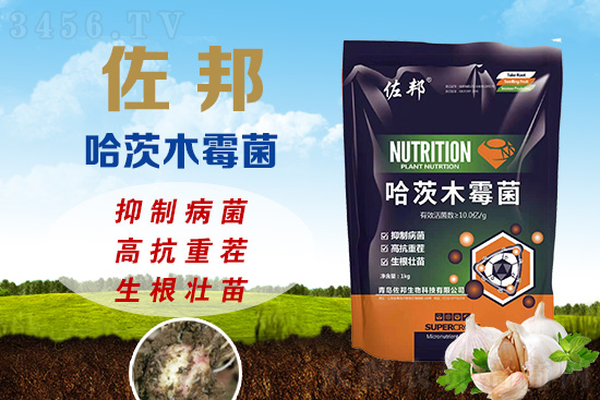 زpa20%ٲξľù߿ز