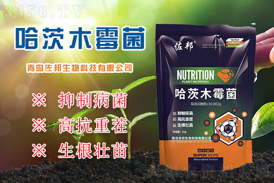 زpa20%ٲξľù߿ز