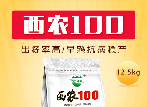 辉县?jng)U北种业有限公?西农100_01.jpg