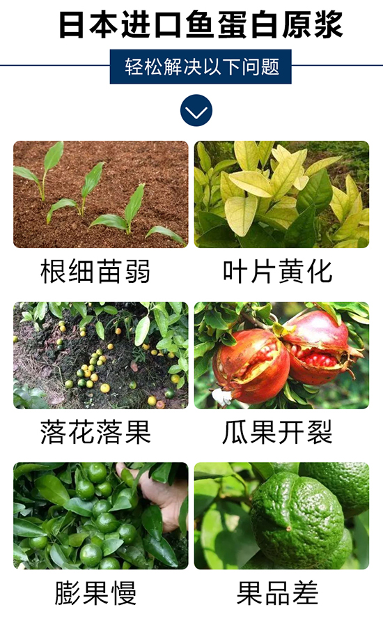 鏈爣棰?1_04.jpg 鏈爣棰?1_04.jpg