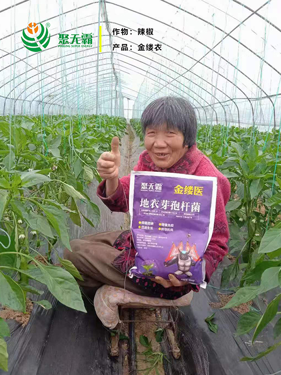 閲戠紩鍖誨湴琛h娊瀛㈡潌鑿?鑱氭棤闇?.jpg 閲戠紩鍖誨湴。鑺藉鏉嗚?鑱氭棤闇?.jpg