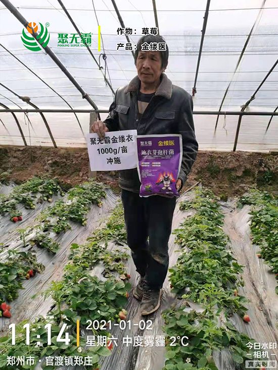 閲戠紩鍖誨湴琛h娊瀛㈡潌鑿?鑱氭棤闇?.jpg 閲戠紩鍖誨湴。鑺藉鏉嗚?鑱氭棤闇?.jpg