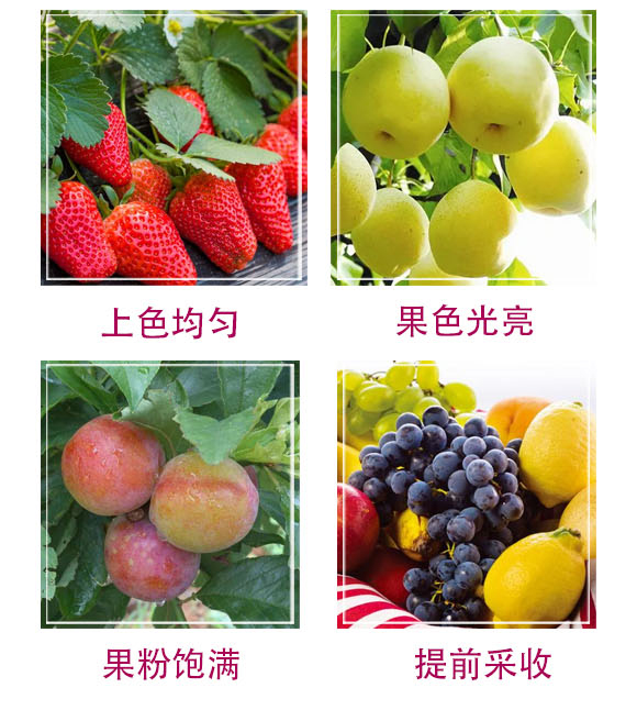 望盈果速紅-安諾_04.jpg 望盈果速紅-安諾_04.jpg