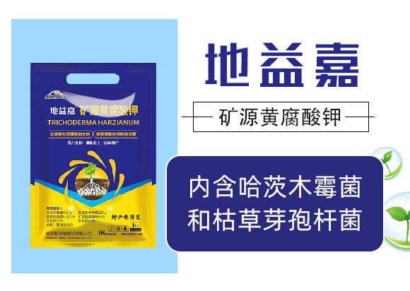 鍦扮泭鍢?浜旇胺涓癬02.jpg 鍦扮泭鍢?浜旇胺涓癬02.jpg