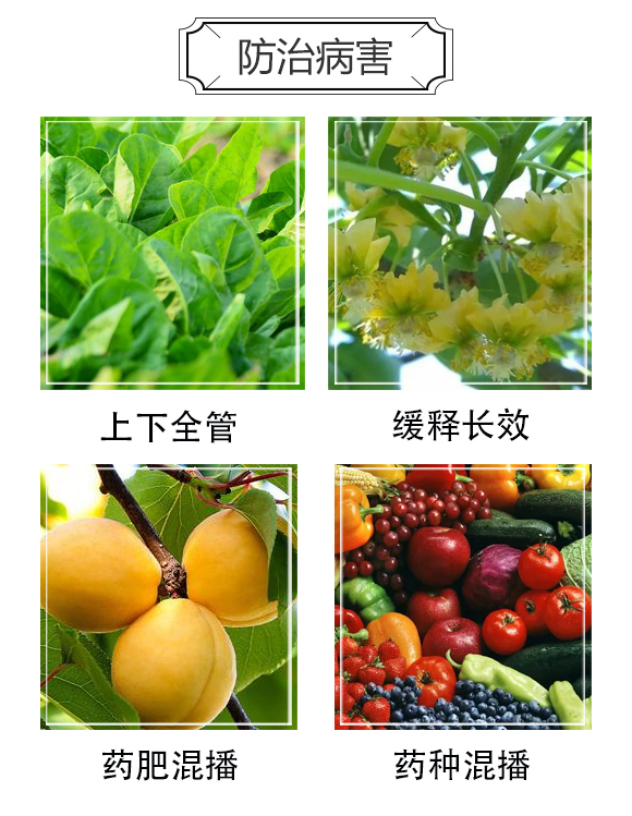 楂樻帶-澶╂鼎涓夌_03.jpg 楂樻帶-澶╂鼎涓夌_03.jpg