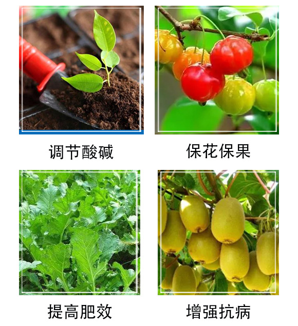 豆磷脂微生物菌劑-中藍農(nóng)業(yè)_05.jpg 豆磷脂微生物菌劑-中藍農(nóng)業(yè)_05.jpg