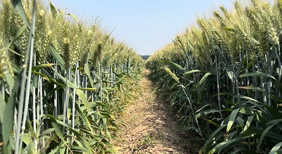 寰俊鍥劇墖_20241224113448.jpg 寰俊鍥劇墖_20241224113448.jpg