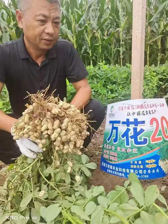 寰俊鍥劇墖_20241224140448.jpg 寰俊鍥劇墖_20241224140448.jpg